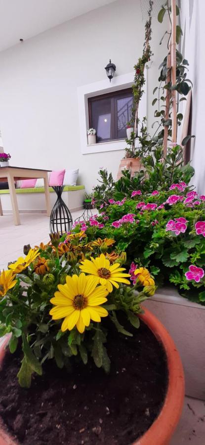 Apartament Polidoros House Palekastro Zewnętrze zdjęcie